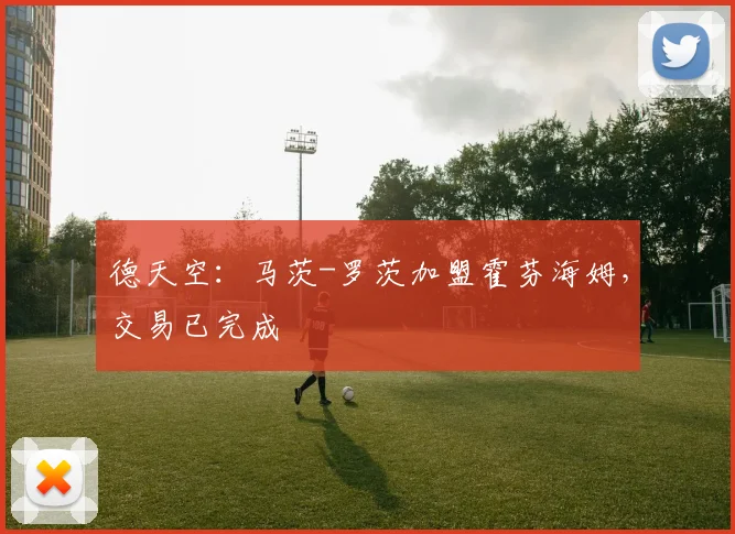 德天空：马茨-罗茨加盟霍芬海姆，交易已完成