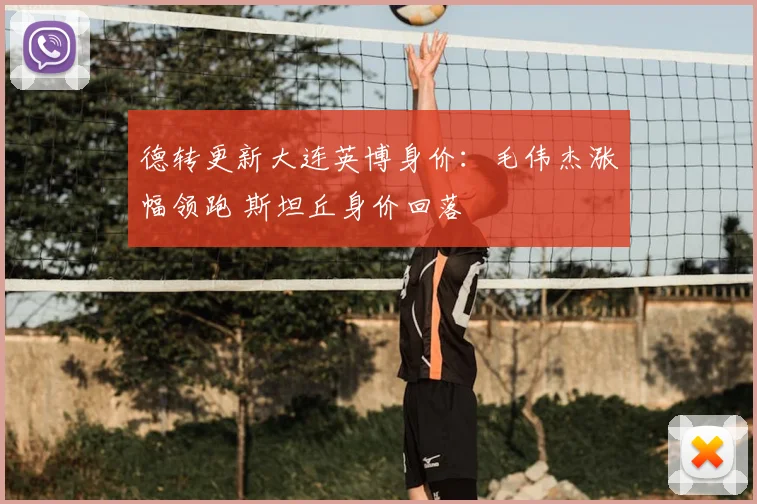 德转更新大连英博身价:毛伟杰涨幅领跑 斯坦丘身价回落