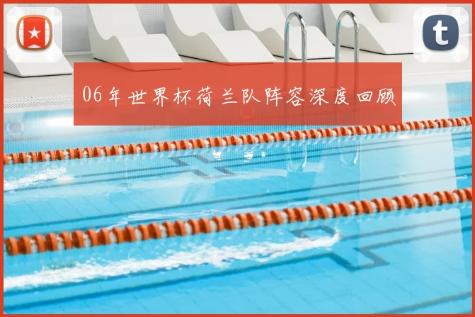 06年世界杯荷兰队阵容深度回顾
